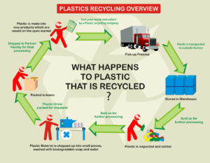 Plastic Waste Recycling
